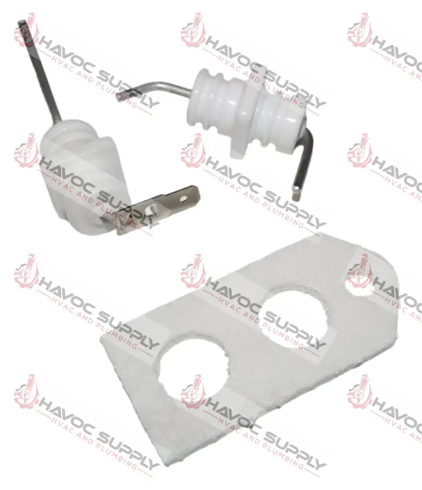 104000011K - TANKLESS WATER HEATER ELECTRODE AND FLAME ROD KIT W/GASKET - SPECIAL ORDER ITEM WATER HEATER PARTS