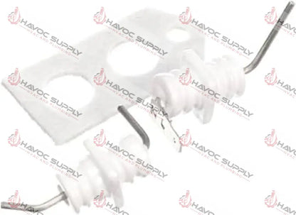 104000011K - TANKLESS WATER HEATER ELECTRODE AND FLAME ROD KIT W/GASKET - SPECIAL ORDER ITEM WATER HEATER PARTS