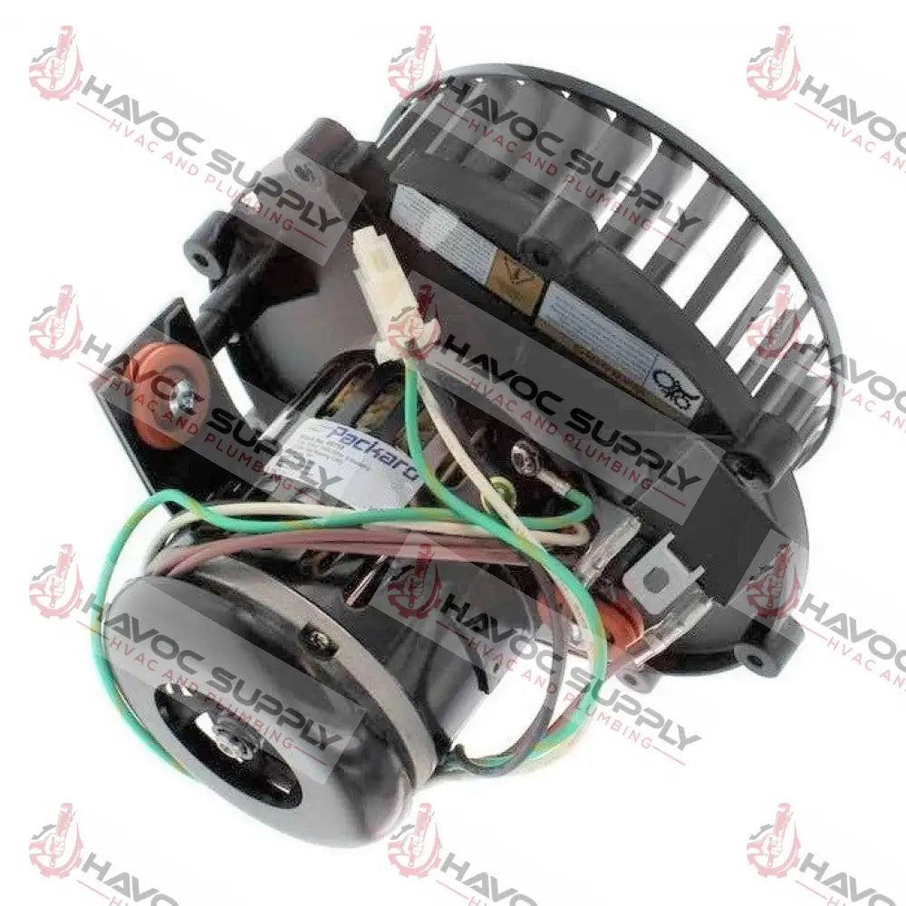 66755 - 0.06 HP INDUCER MOTOR ASSEMBLY - SPECIAL ORDER ITEM MOTORS