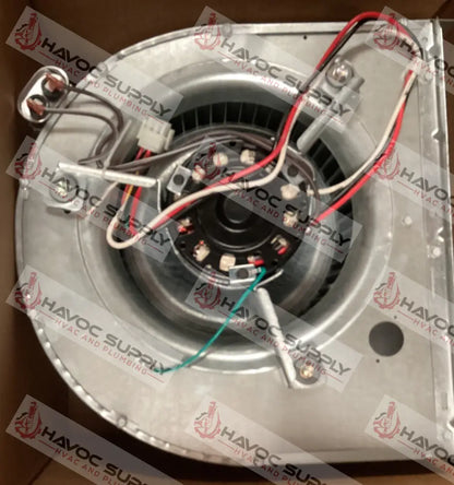 7900-6061 - 3/3.5 TON COLEMAN BLOWER ASSEMBLY - HAVOC SUPPLY, LLC