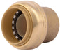 34SBENDSTOP - 3/4" SHARKBITE END STOP