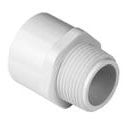 1PVCMA SXT - 1" PVC SCH40 MALE ADAPTER SLIPXMIP