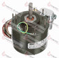 D261 - 1/8 HP BLOWER MOTOR - SO - HAVOC SUPPLY, LLC