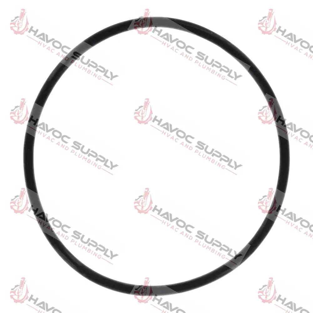 SH143273 - O RING FOR BIG BLUE FILTER WATER FILTERS