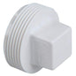 2DWVP - 2" DWV THREADED PLUG